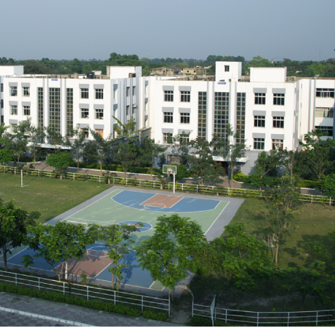 University Landscape